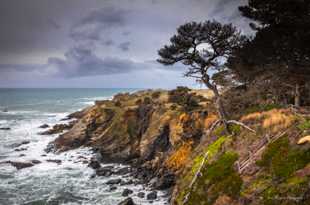 Salt Point-2946